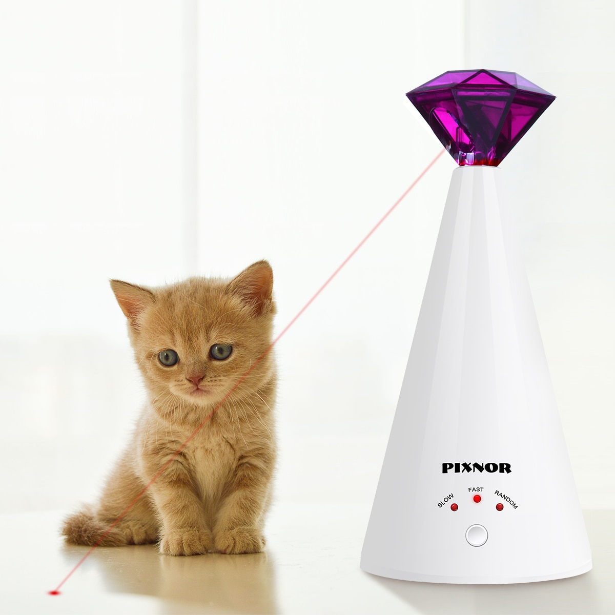 pet laser toy